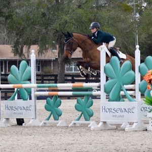 Meet your Posher, Casey